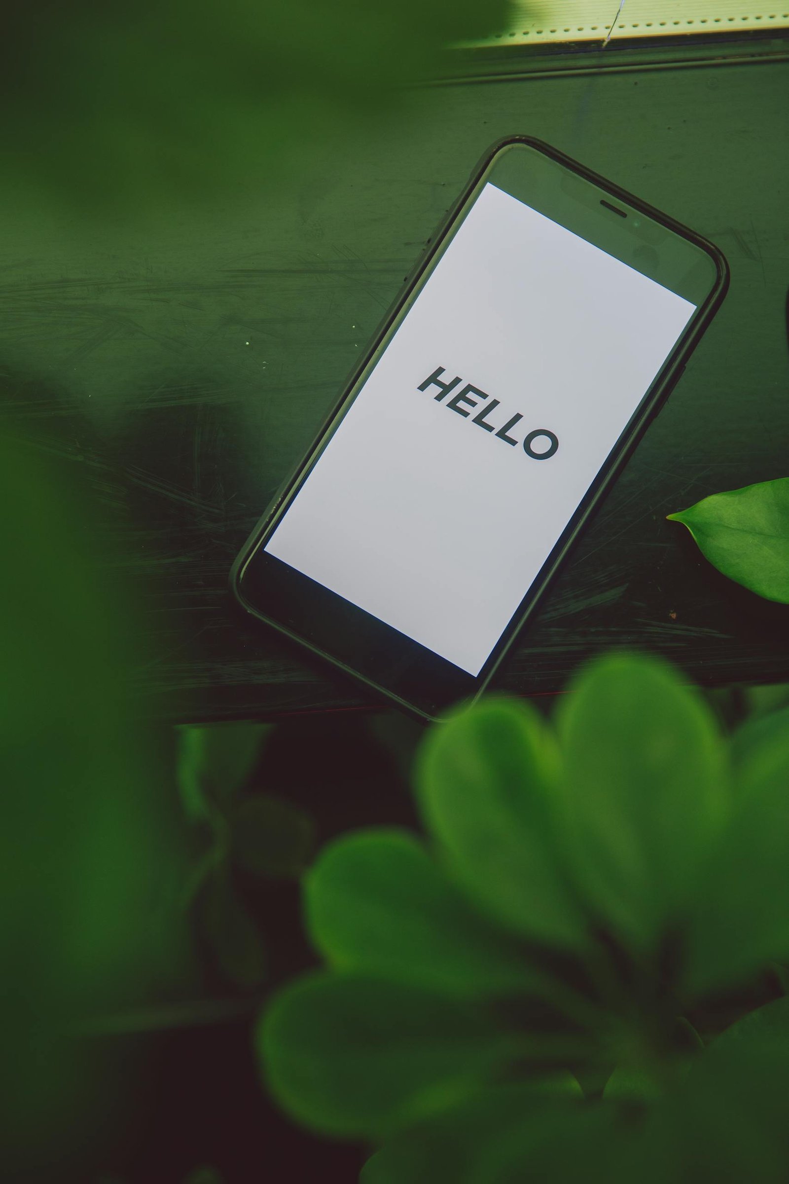 Smartphone displaying 'Hello' surrounded by lush green leaves, blending technology with nature.